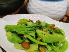 -喜上喜鸡煲翅(吉大店)