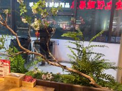 -老凯俚酸汤鱼(鸿通城店)