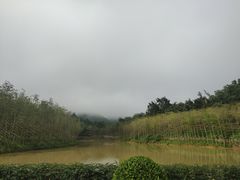 -佛冈森波拉度假区