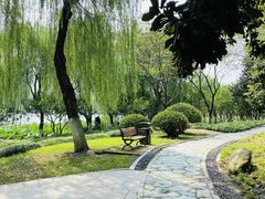 -后襄河公园