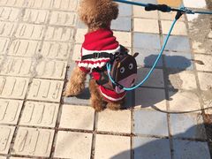 -蜀冈西峰生态公园