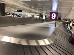 -米兰马尔彭萨国际机场