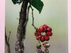 -昆明市博物馆(昆明市文物保护和考古研究中心)