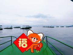 -抚仙湖禄充风景区