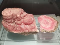 -安徽省地质博物馆