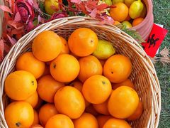 -海南清水湾莱佛士酒店