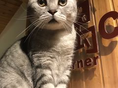 -隅cafe(傅厚岗店)