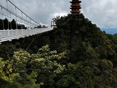 -塔云山
