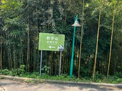 -碧峰峡风景区