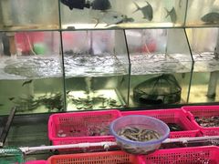 水产区-田源农家饭店·窑鸡王·海鲜(东部湾·融创店)