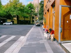 -RAC BAR(安福路店)