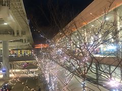-关西国际机场直营免税店