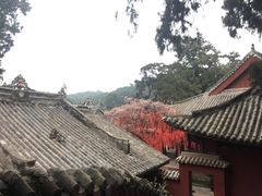 -七曲山风景区