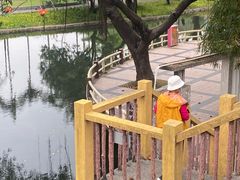 -晓港公园