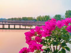 -北龙湖湿地公园