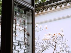 -耦园
