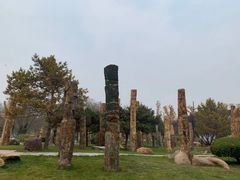 -石家庄市植物园