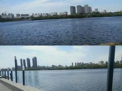 -长白岛森林公园