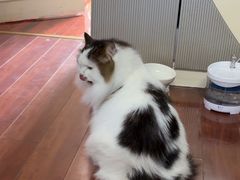 -佳百利宠物(荣乐中路115弄小区店)