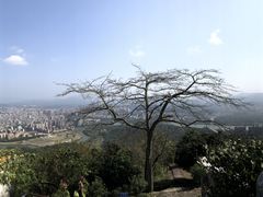 -风云岭森林公园