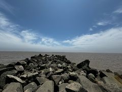 -南汇嘴观海公园
