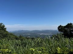 -广州市帽峰山景区