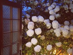 -王捌小院(红花坡店)
