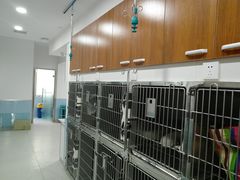 -爱诺动物医院(崂山店)