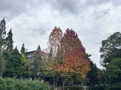 -成飞公园