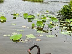 -东山湖公园
