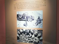 -重庆自然博物馆(新馆)