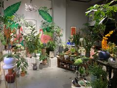 -弗劳尔花艺坊(龙涛店)