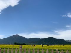 -扁都口生态休闲旅游区