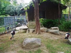 -上方山森林动物世界