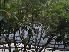 -故乡缘·香格里拉山庄(冷竹路店)