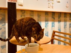 -猫的天空之城概念书店(杭州南宋御街店)