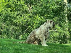 -北京野生动物园