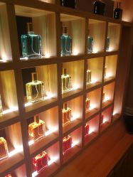 -彩虹之门健康管理