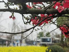 -国际非物质文化遗产博览园