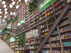 -当当书店(国泰广场店)