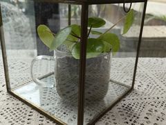 -北马山庄植趣咖啡