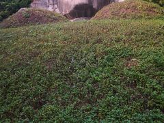 -西双版纳基诺山寨