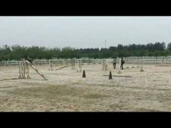 -月河湾马术俱乐部(朝阳店)