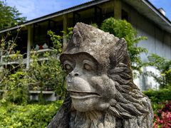 -河源御临门度假村温泉