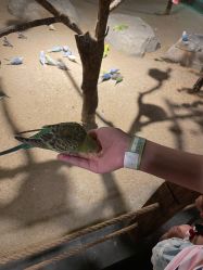 -酷嗒动物文化乐园(cutezoo西溪乐天城店)