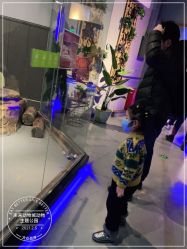 -未来动物城动物主题公园(大悦城店)