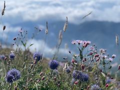 -白草畔自然风景区