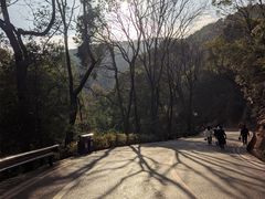 -岳麓山风景名胜区