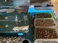 -和源祥·日照菜扛把子(万平口一店)