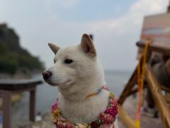 -抚仙湖禄充风景区